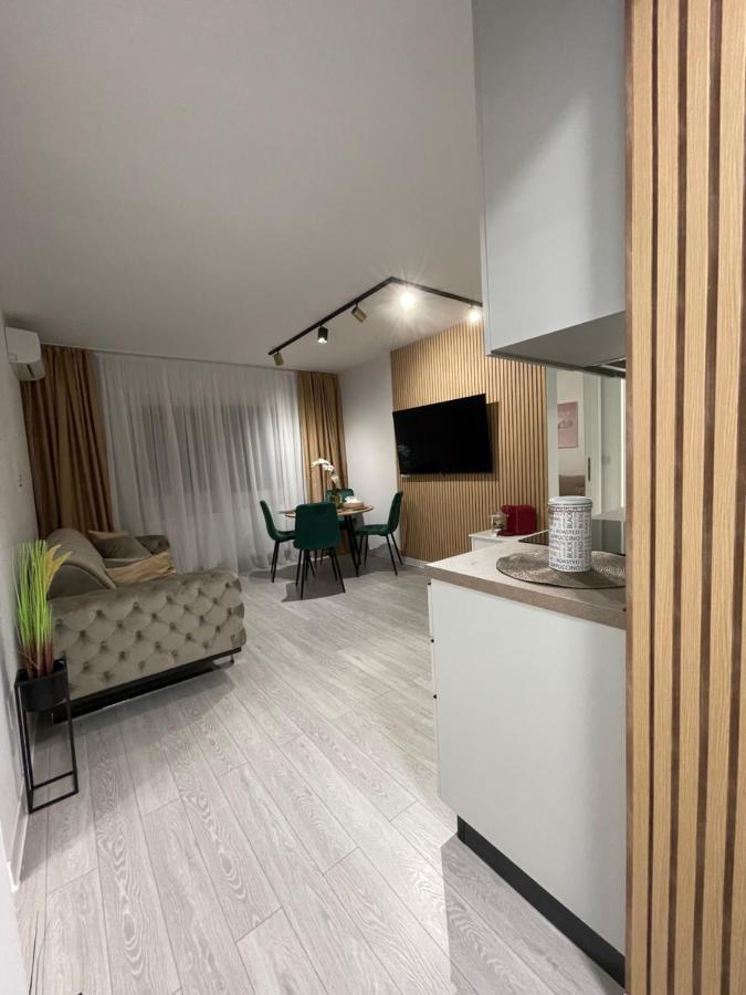 Oxana Apartments - 3 Camere - Timisoara Ngoại thất bức ảnh