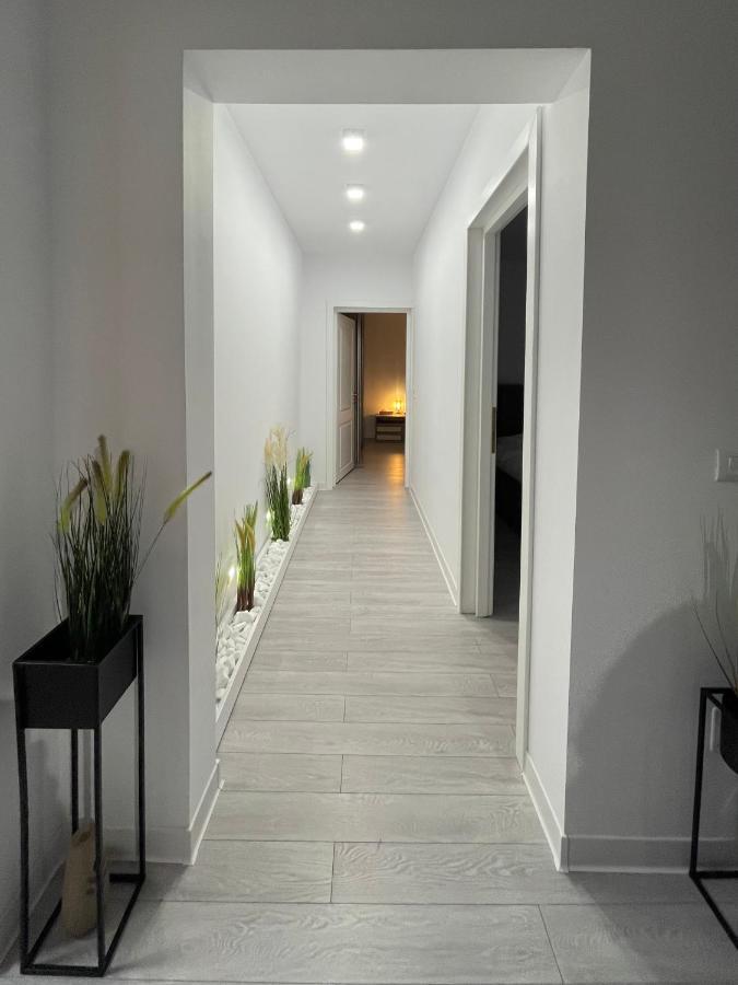 Oxana Apartments - 3 Camere - Timisoara Ngoại thất bức ảnh