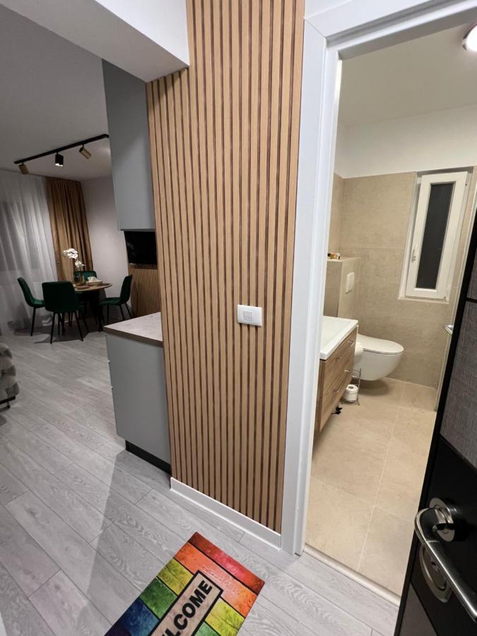 Oxana Apartments - 3 Camere - Timisoara Ngoại thất bức ảnh