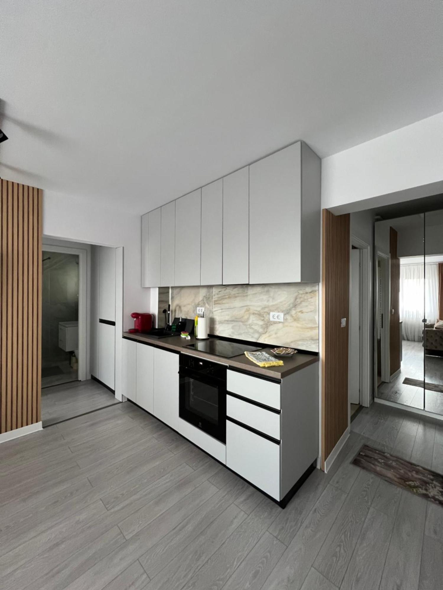 Oxana Apartments - 3 Camere - Timisoara Ngoại thất bức ảnh