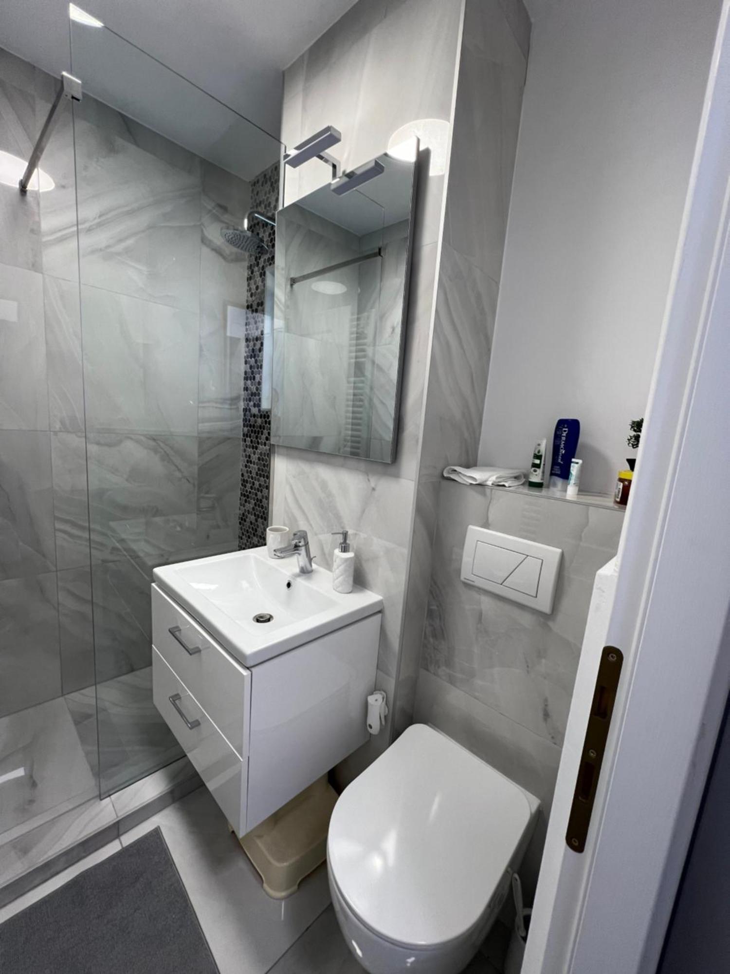 Oxana Apartments - 3 Camere - Timisoara Ngoại thất bức ảnh